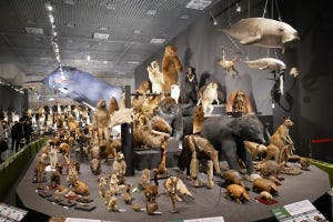 特別展「大哺乳類展2 - みんなの生き残り作戦」、3月21日より科博にて開催