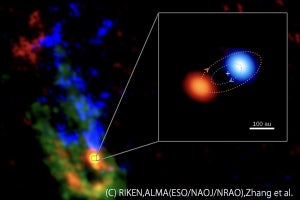 形成段階にある大質量星の連星系を発見 - アルマ望遠鏡