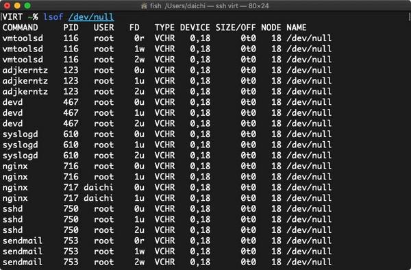 lsofコマンドの実行サンプル