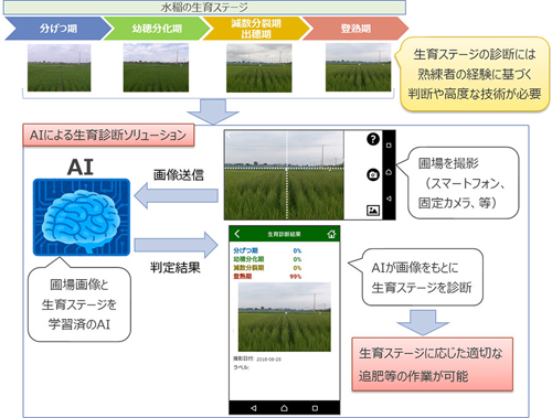 生育診断ソリューションのイメージ