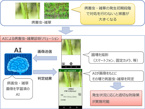 病害虫・雑草診断ソリューションのイメージ