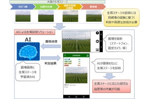 NTTデータ、AIと画像解析活用する農業ソリューション