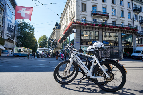 Speed Pedelec Electric Bike