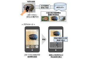 環境省とドコモ、画像認識AIで希少種密猟・密輸防止の実証実験