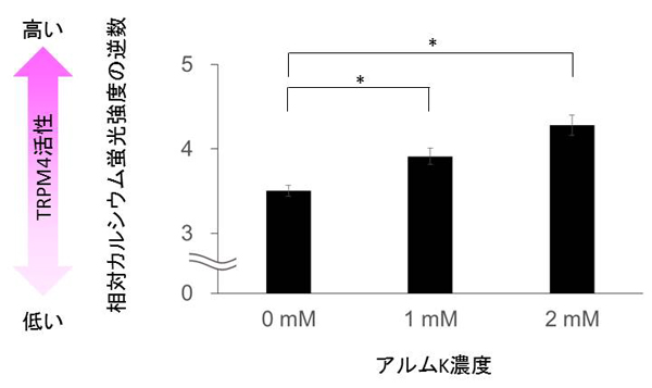 TRPM4