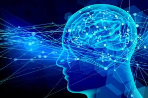 東芝など、脳の空間認知機能を脳型AIハードウェアで再現することに成功