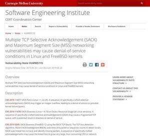 LinuxとFreeBSDカーネルに脆弱性、パッチ適用を
