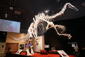 「恐竜博2019」が上野・科博で開幕 - 世界初公開の復元骨格も多数展示