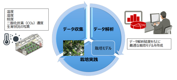 共同研究の流れ