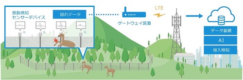実証実験の概要