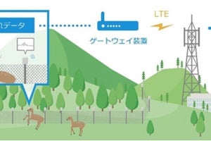 KDDIら、IoT活用による森林管理効率化の実証実験- 鳥獣被害の軽減へ