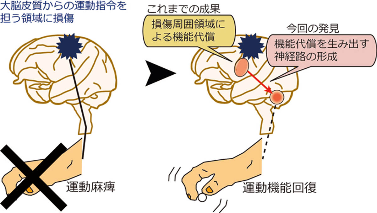 産業技術総合研究所