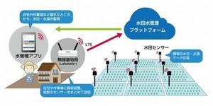 IIJ、LoRaWAN対応IoTセンサーなど含む水田水管理IoTシステム