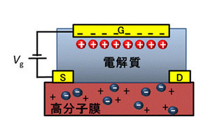 導電性高分子、半導体と金属の境で熱電変換性能が最大に フレキシブルなIoT電源に道