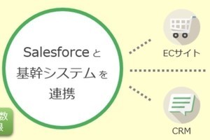 パナソニックIS、Salesforceと基幹システムとの連携サービスを提供