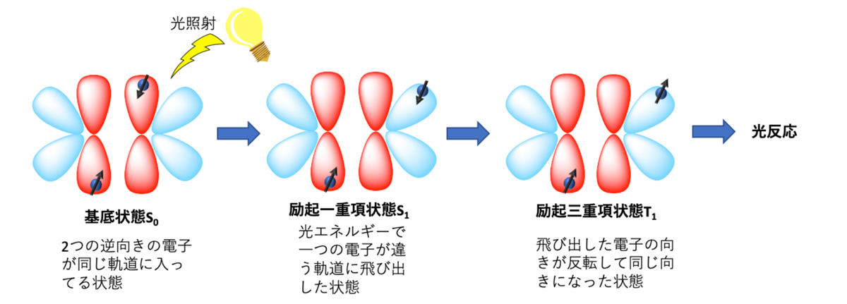 千葉大学