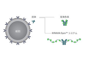 ソニー、研究試薬用素材となる蛍光色素「KIRAVIA Dyes」のライセンスを開始