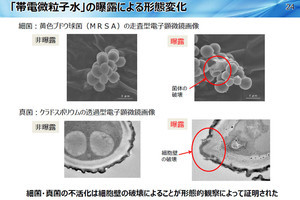 パナソニック、帯電微粒子水による細菌・真菌に対する抑制効果を確認