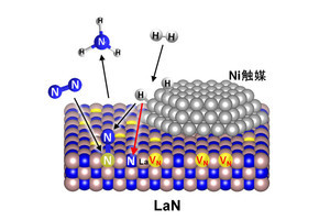東工大、アンモニアの高効率合成を可能とするニッケルナノ粒子系触媒を開発
