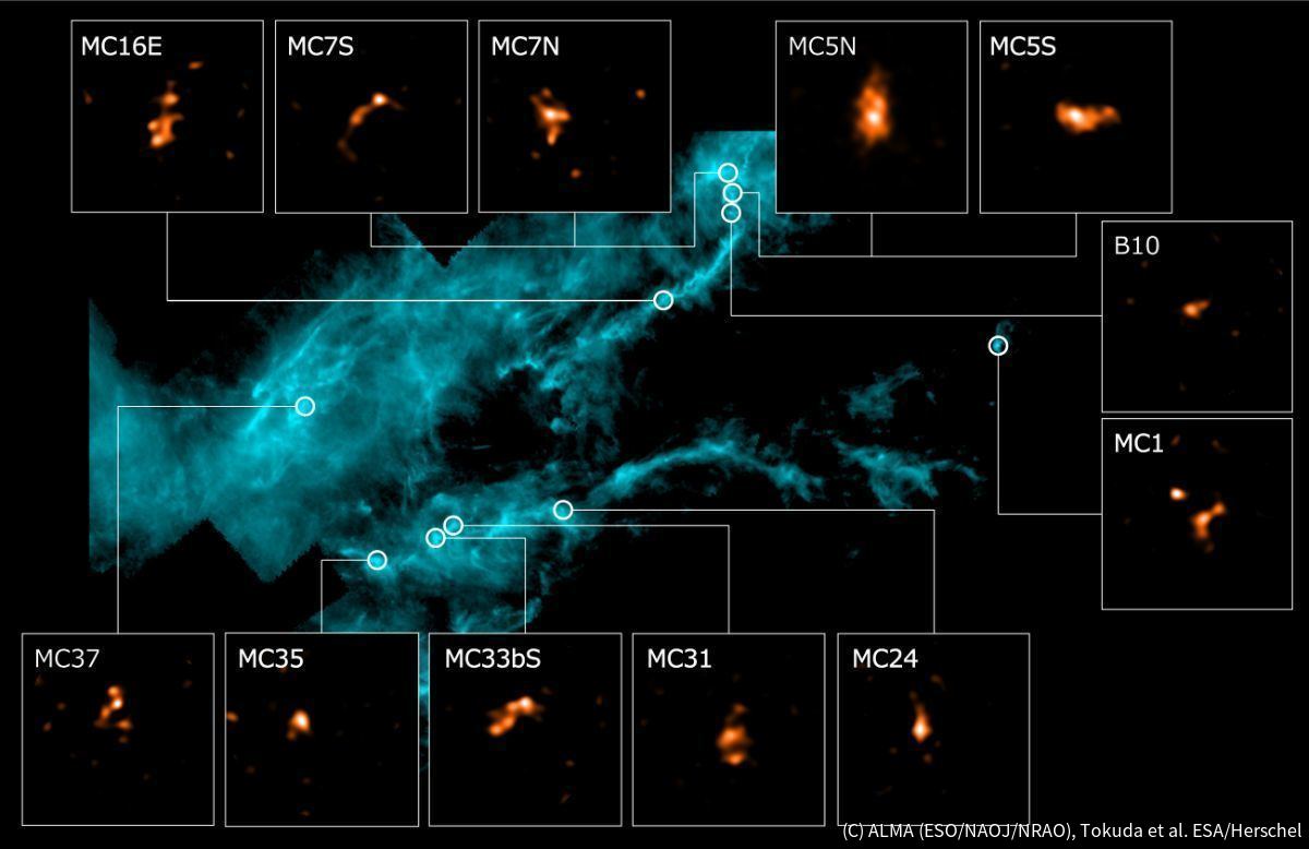 おうし座分子雲とそれに含まれる多数の分子雲コア