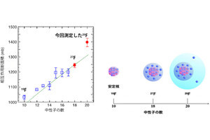 フッ素-29が世界で7番目の「2中性子ハロー原子核」であることを確認、理研