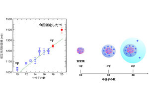 フッ素-29が世界で7番目の「2中性子ハロー原子核」であることを確認、理研