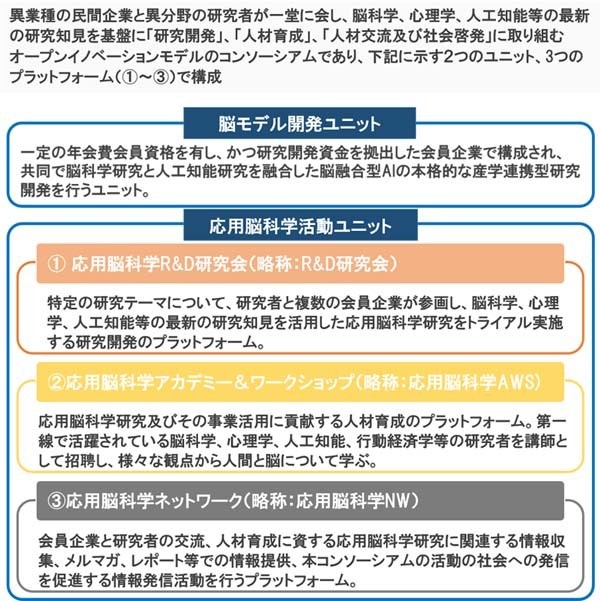 活動の概要