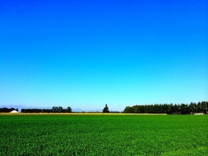 「地域ブランド調査2020」発表、茨城県は最下位脱出 - 47位まで一挙紹介