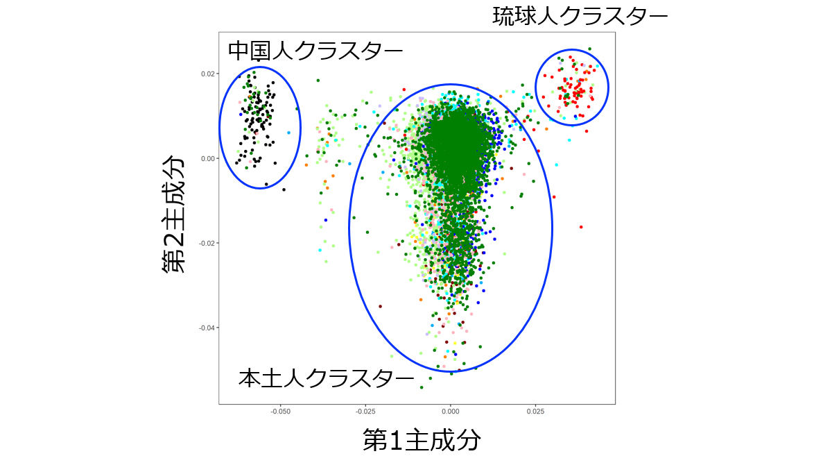 全ゲノムSNP遺伝子型データ