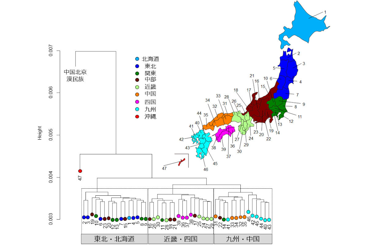 全ゲノムSNP遺伝子型データ