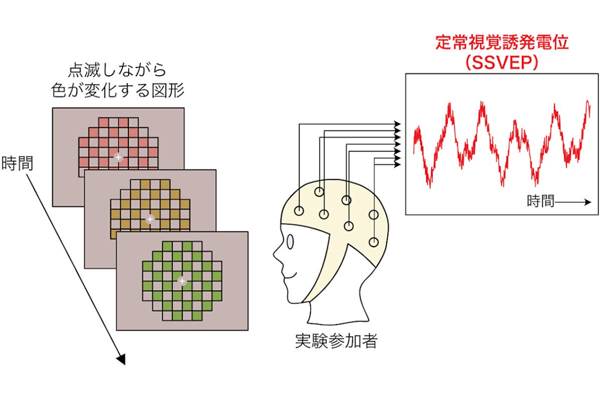 色は主観で決まる 東北大 見た目の色の鮮やかさと関連した脳波を記録 Tech