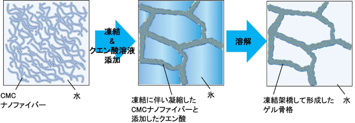 凍結架橋セルロースナノファイバーゲル