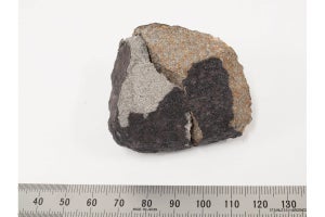国立科学博物館など、「習志野隕石」が国際隕石学会に登録されたことを発表