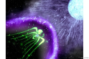 謎多き高エネルギー天体「ガンマ線連星」の片割れは「マグネター」の可能性