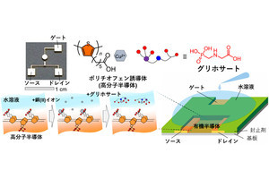 東大生研、水中用の有害化学物質センサを有機薄膜トランジスタを用いて開発