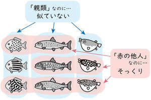 明るい斑×暗い斑=迷路模様？　動物の複雑な模様が生まれた仕組みが判明