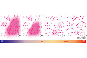 JAEAなど、原子レベルでの強磁性が発現するメカニズムを解明することに成功