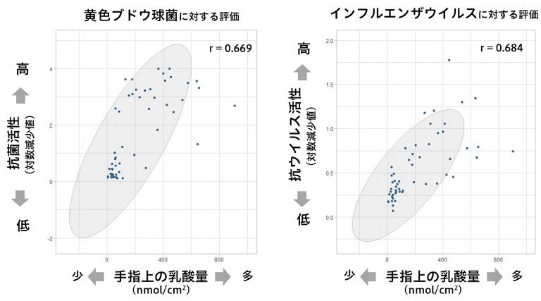 手指上での乳酸量と、手指表面成分の抗菌・抗ウイルス活性との関係