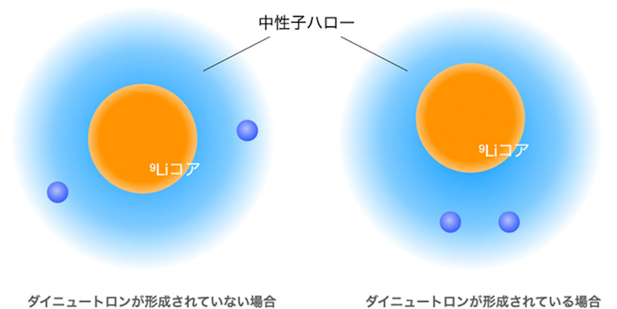 ダイニュートロン