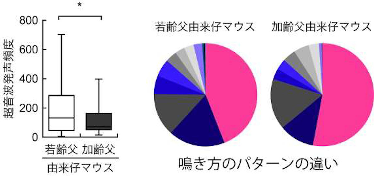 発達障害