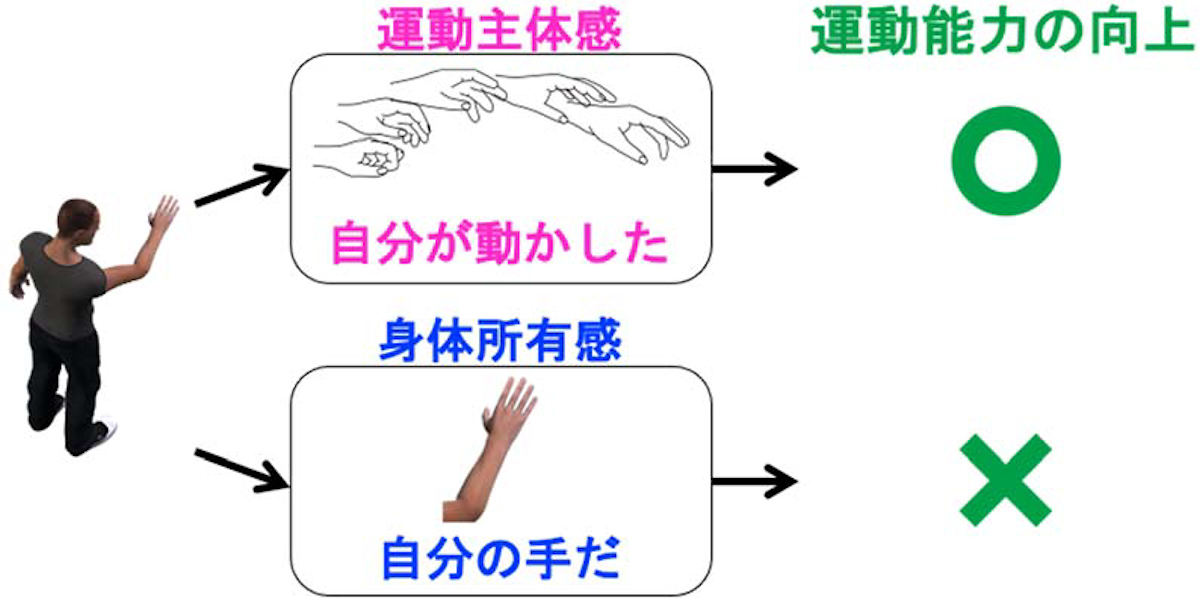 自己身体の気づき