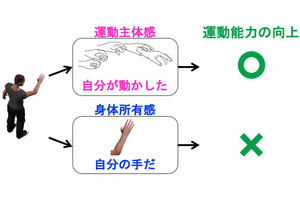 身体のリハビリにおいて「運動主体感」がより効果的な回復を促す - 東北大