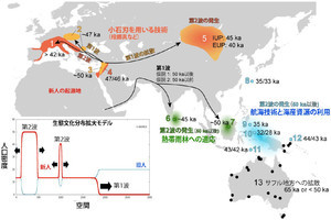 名大など、数学と考古学を融合させた新分野で人類進化史の説明に成功