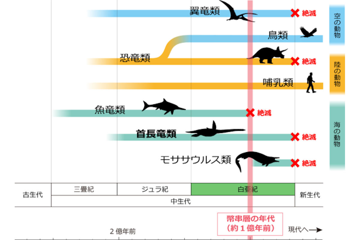 エラスモサウルス類