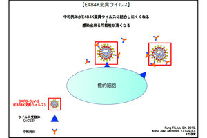 TMDU、「免疫逃避型変異」を有するカナダ系統株SARS-CoV-2の国内感染を確認