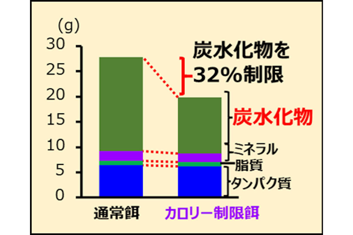 大腸がん