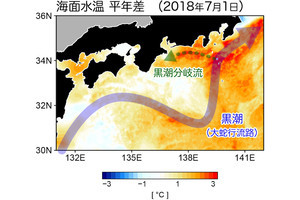 黒潮大蛇行が関東地方に猛暑をもたらす - 東北大のシミュレーションで判明