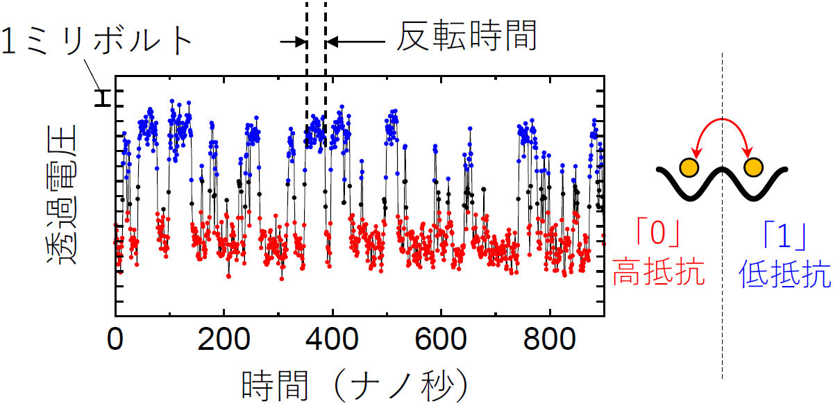 確率論的コンピューター