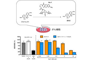 理研など、がん細胞上で化学反応して薬剤となるプロドラッグ技術を開発