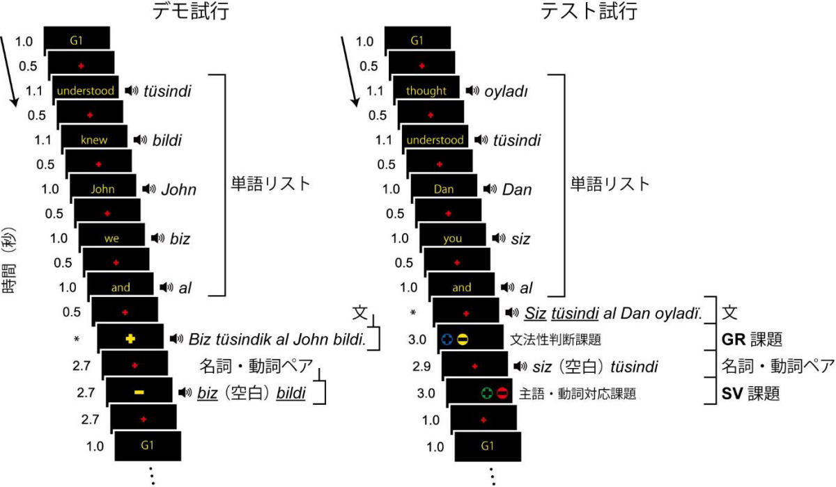 言語の脳活動